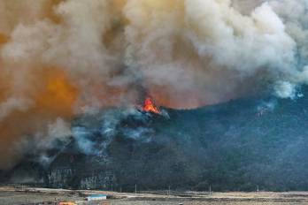 Los bomberos luchan por sofocar las llamas.
